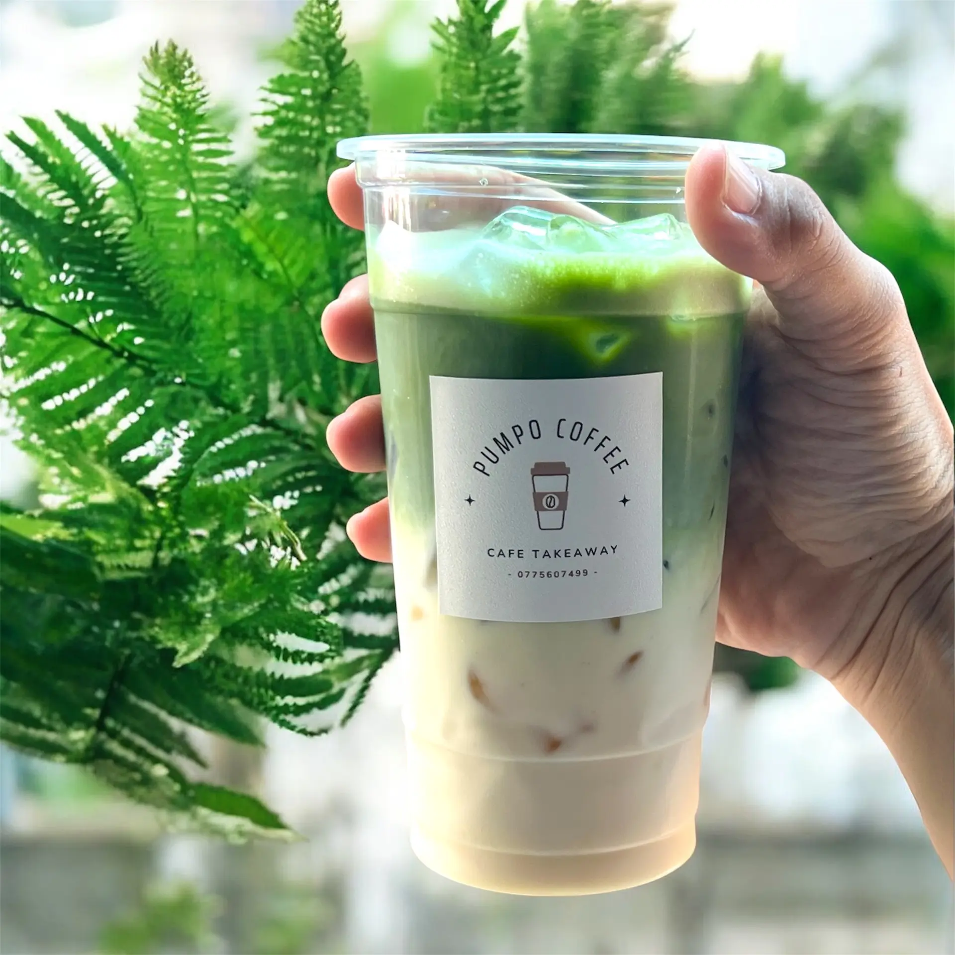 Hình ảnh Matcha sữa gấu
