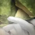 Hình ảnh Sinh tố bơ dừa