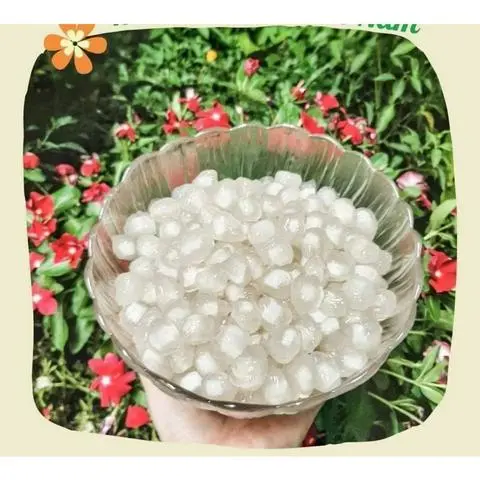 Hình ảnh trân châu dừa 