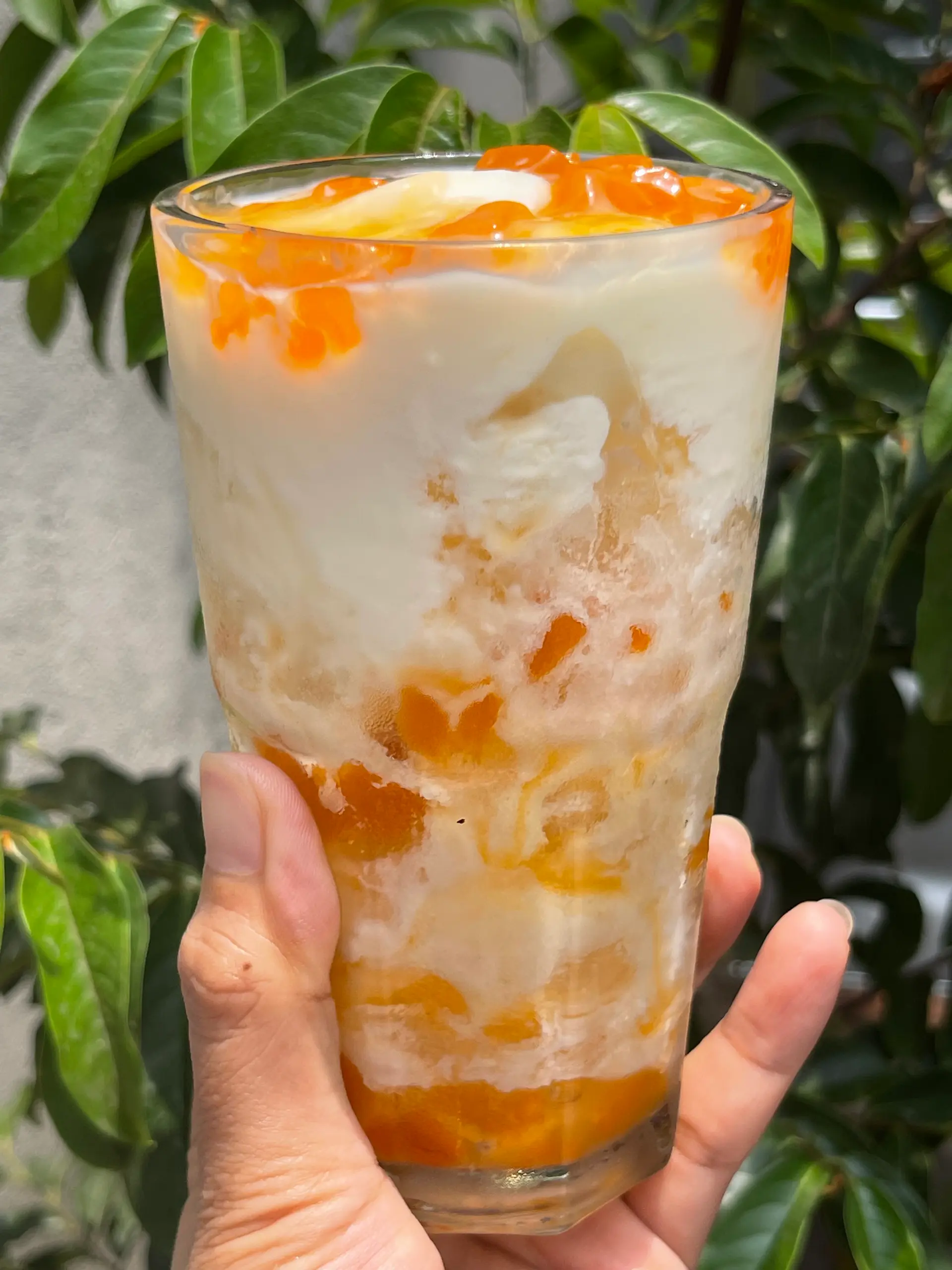 Hình ảnh Sữa chua đào