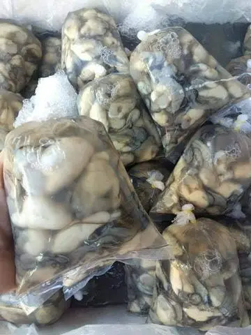 Hình ảnh Hàu thêm