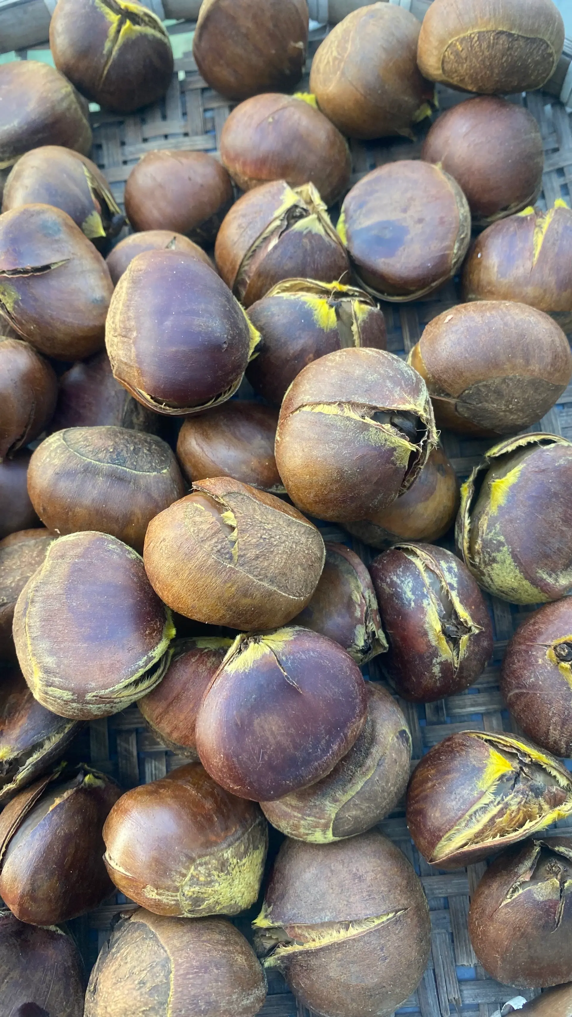 Hình ảnh Hạt dẻ hấp 500 gram