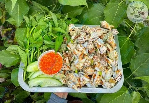 Hình ảnh ốc nhảy xào bơ