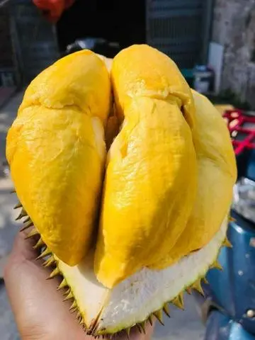 Hình ảnh Sầu riêng dằm sữa đá đập 