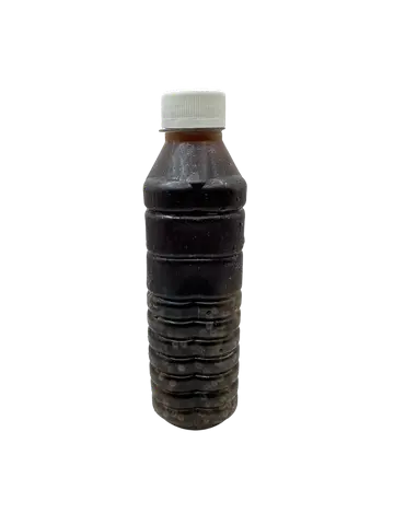 Hình ảnh Sâm Lạnh Sương Sáo