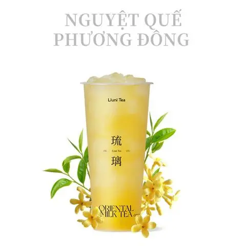 Hình ảnh Nguyệt quế Phương Đông