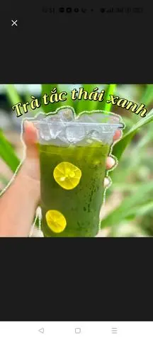 Hình ảnh TRÀ TẮC THÁI XANH