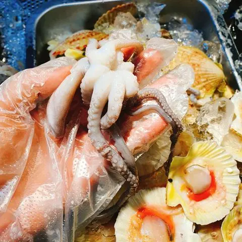 Hình ảnh Bạch tuột