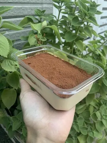 Hình ảnh Tiramisu truyền thống 