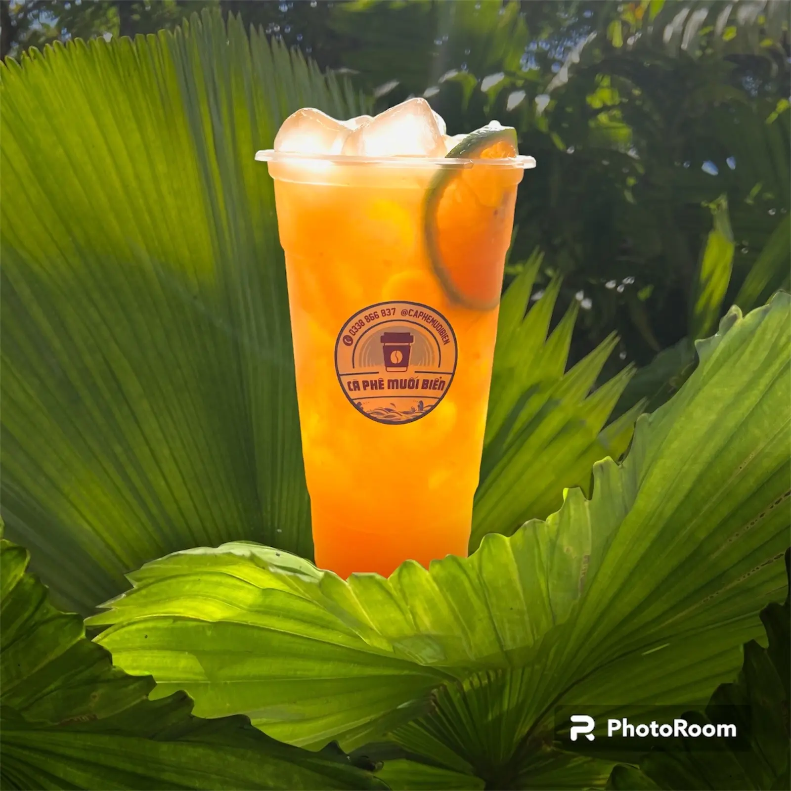 Hình ảnh Cam Mật Ong Hoa Cà Phê (SIZE LỚN 700ml)