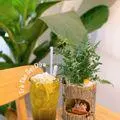 Hình ảnh Trà táo dừa sợi - Ly 700ml