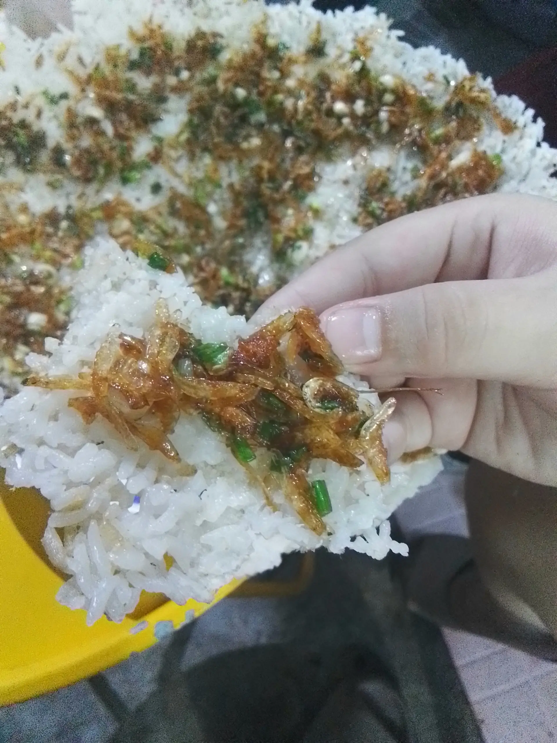 Hình ảnh Cơm cháy mỡ hành con ruốc 