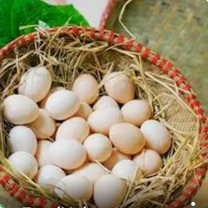 Hình ảnh trứng trần