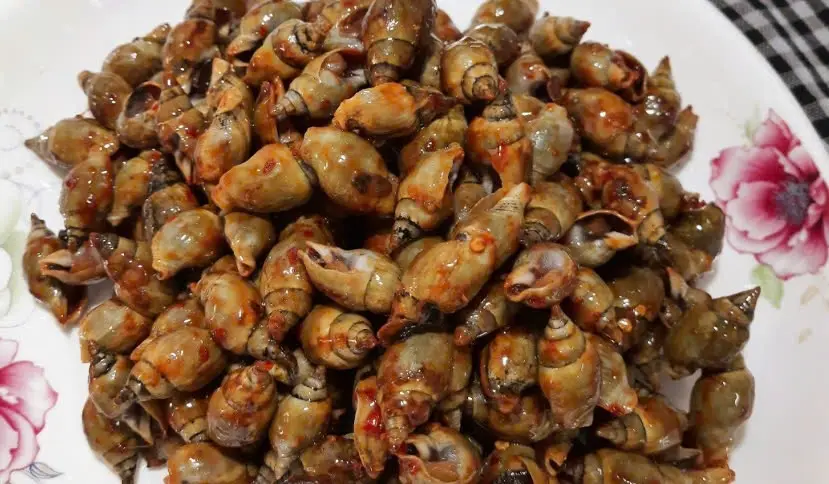 Hình ảnh Cà na rang muối