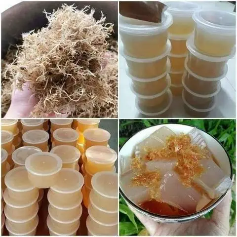 Hình ảnh Xu Xoa Quảng Ngãi