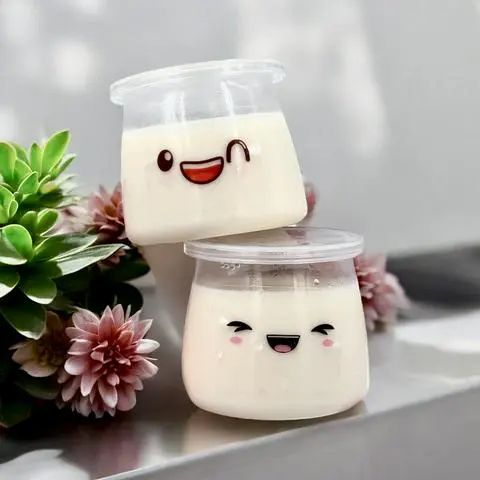 Hình ảnh Set 2 Yaourt phô mai dẻo