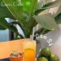 Hình ảnh Cam sả - Ly700ml
