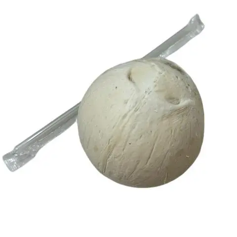Hình ảnh Dừa trọc (size 400-500gr)