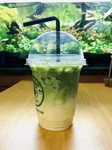 Hình ảnh Matcha sữa gấu