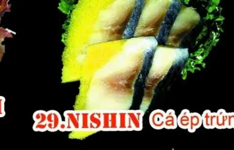 Hình ảnh 29 nishin
