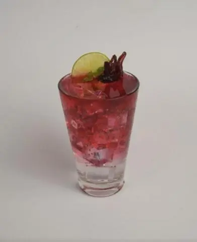 Hình ảnh Soda Atiso hạt chia