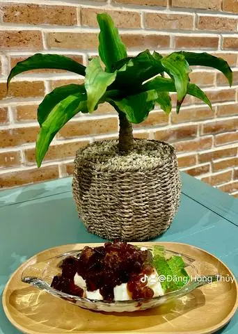 Hình ảnh Sữa chua dẻo thập cẩm