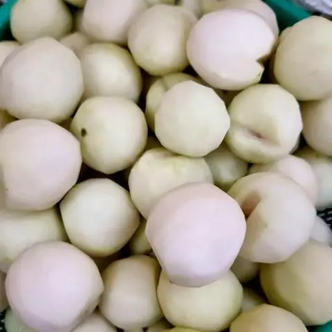 Hình ảnh Táo Phan Rang gọt sạch Muối