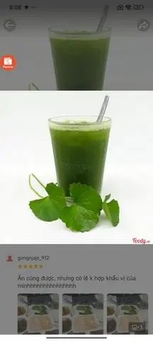 Hình ảnh rau má sữa