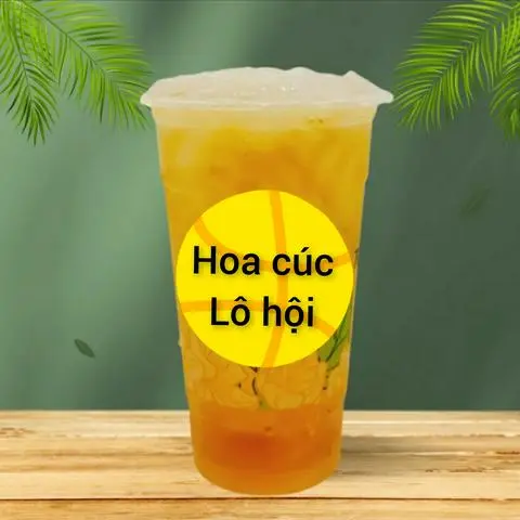 Hình ảnh Bông cúc lô hội