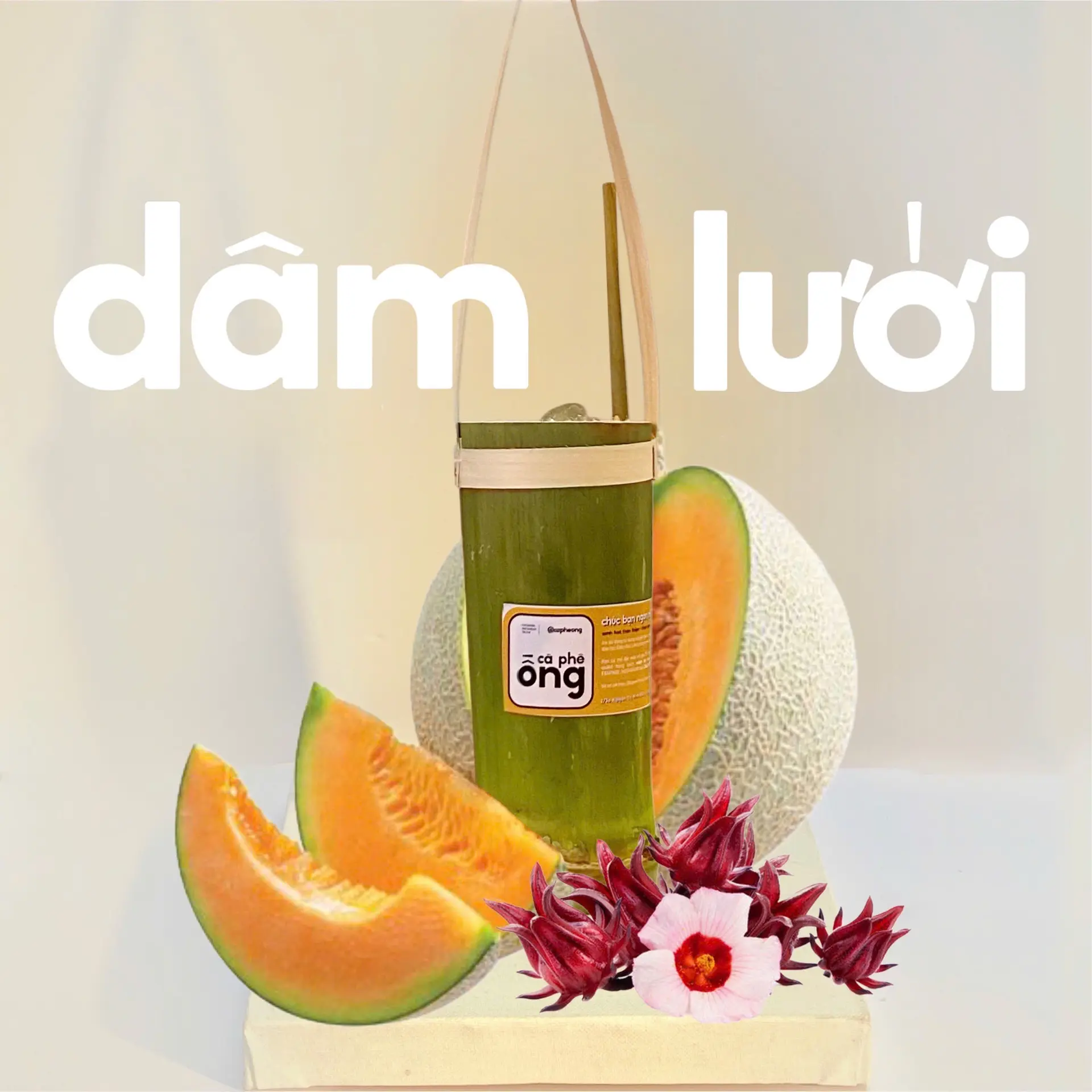 Hình ảnh Dâm Lưới