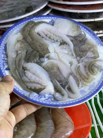 Hình ảnh Bạch Tuộc Thêm