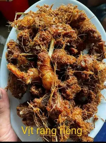 Hình ảnh Vịt Giả Cầy