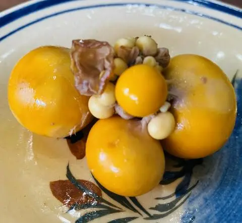 Hình ảnh Trứng Gà Non