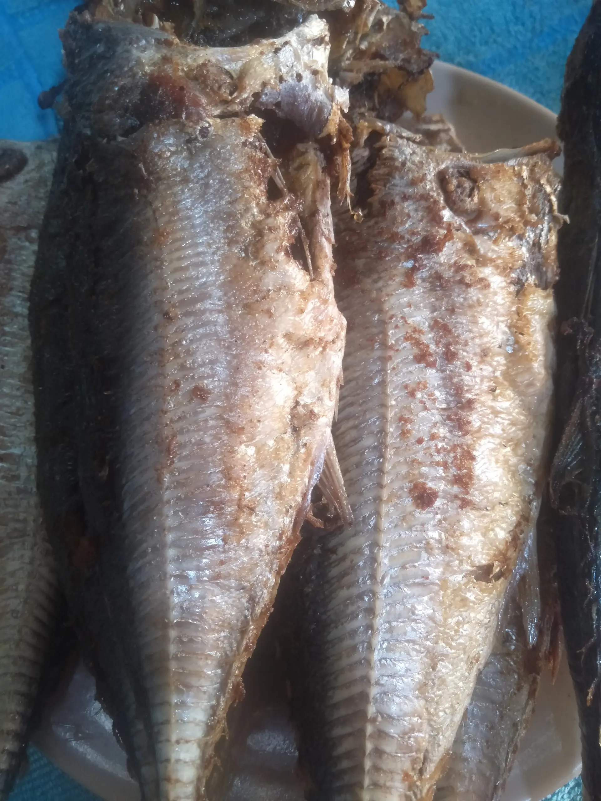 Hình ảnh CƠM CÁ BIỂN CHIÊN 