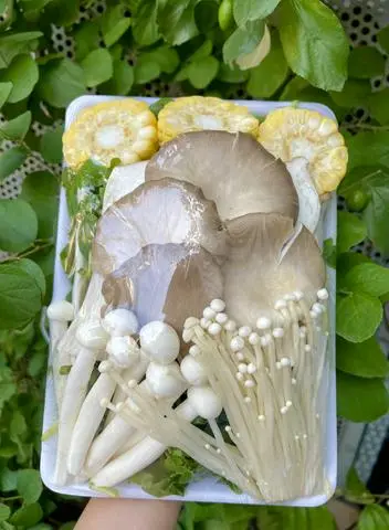 Hình ảnh Khay rau Lẩu Gà 