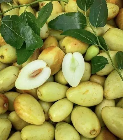 Hình ảnh HỒNG TÁO ( táo tàu ) 1kg 