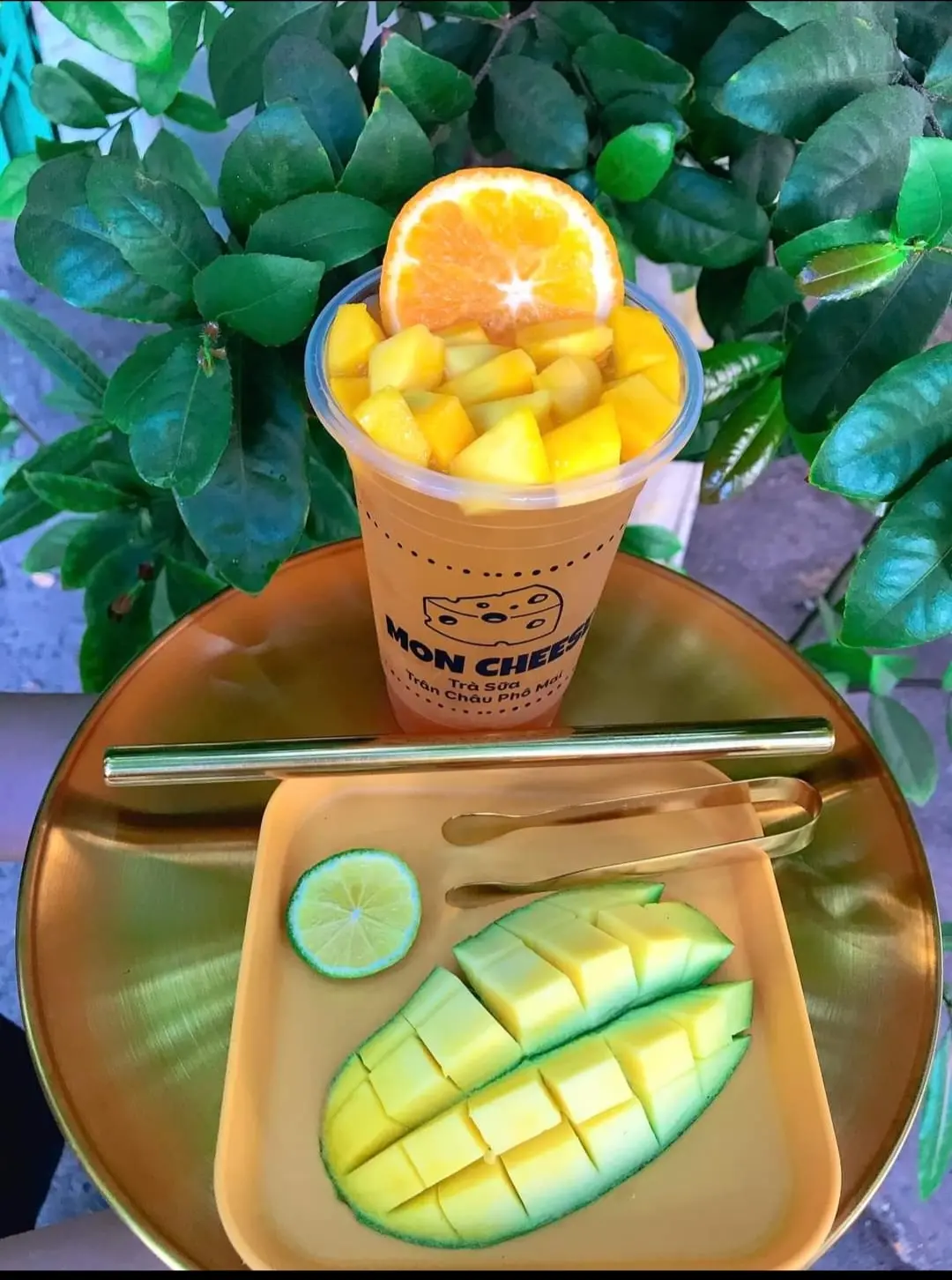 Hình ảnh TRÀ XOÀI