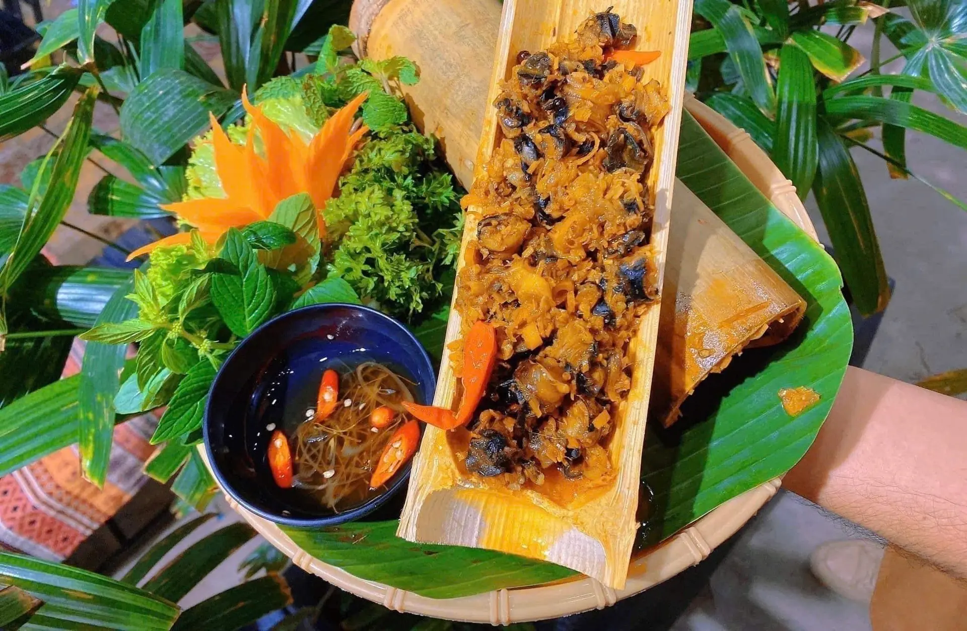 Hình ảnh Ốc Bươu Núp Ống Tre 