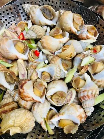 Hình ảnh ốc bulot hấp xã