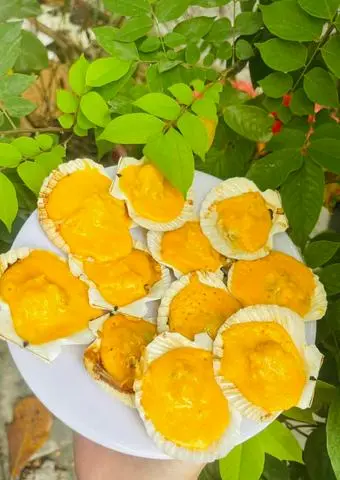 Hình ảnh SÒ ĐIỆP NƯỚNG PHOMAI