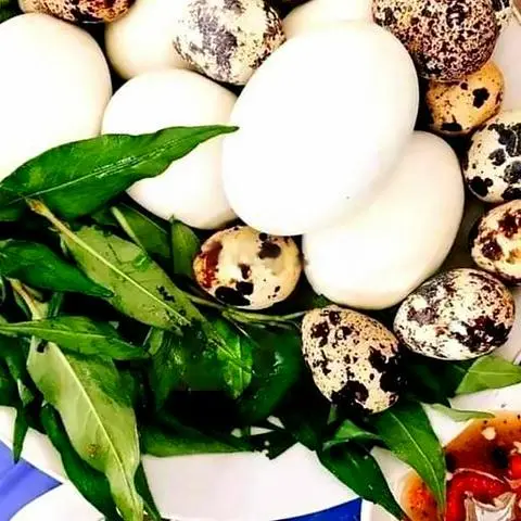 Hình ảnh Hột vịt lộn