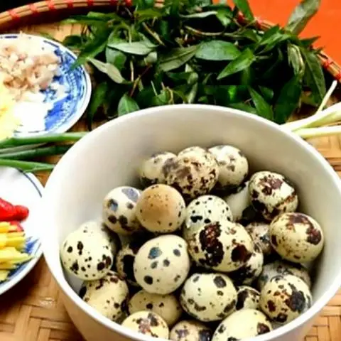 Hình ảnh Cút lộn luộc