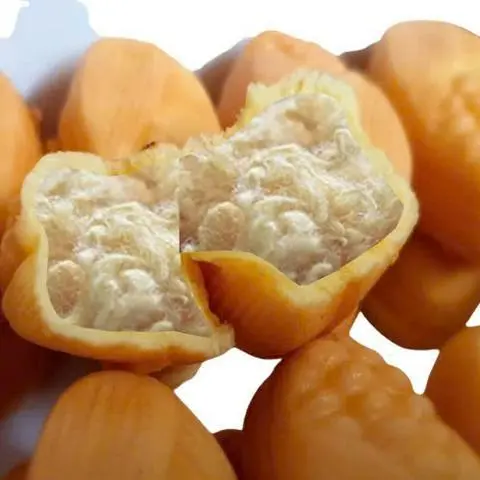 Hình ảnh 1 Bịch 6 Cái Bánh Bắp Nhân Chà Bông 