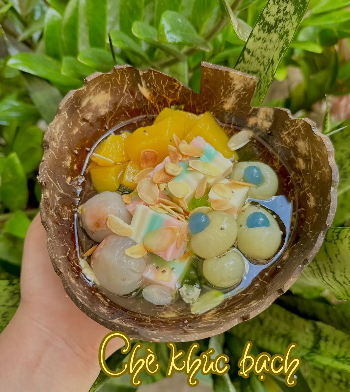 Hình ảnh Chè khúc bạch