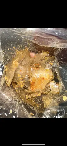 Hình ảnh BÁNH TRÁNG MUỐI BÒ ( DẦU TỎI - ỚT RIM ) 