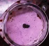 Hình ảnh Dâu tằm