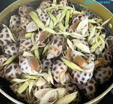 Hình ảnh Ốc hương hấp sả