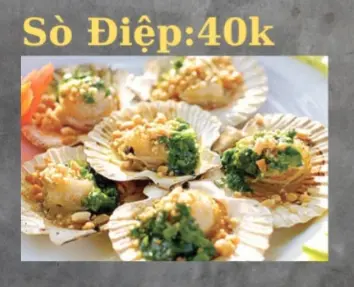 Hình ảnh Sò điệp