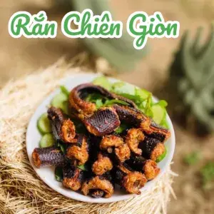 Hình ảnh Rắn chiên giòn