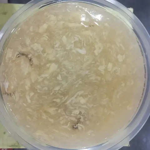 Hình ảnh Soup bào ngư